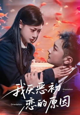 资源《我厌恶初恋的原因》的海报