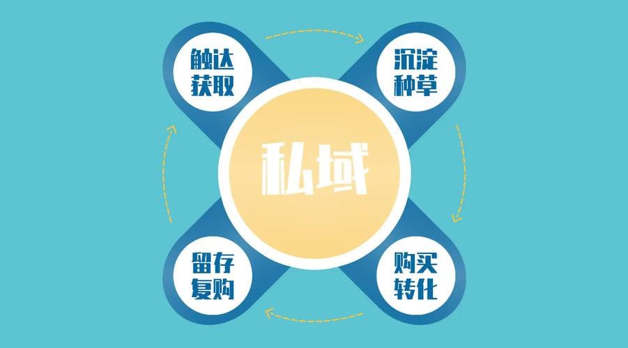 资源《私域流量获客与运营策略精讲实战课程》的海报