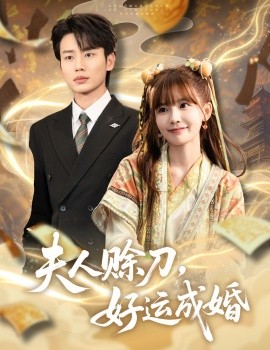 资源《夫人赊刀，好运成婚》的海报
