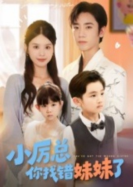 资源《小厉总你找错妹妹了》的海报