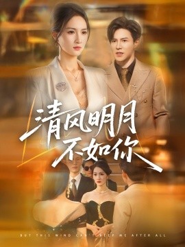 资源《清风明月不如你》的海报