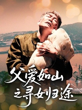 资源《父爱如山之寻女归途》的海报