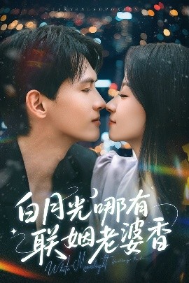 资源《白月光哪有联姻老婆香》的海报