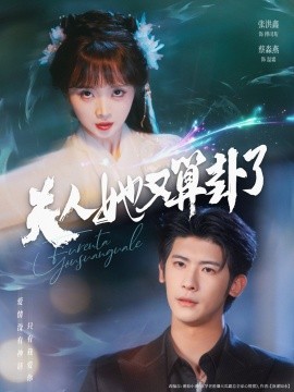 资源《夫人她又算卦了》的海报