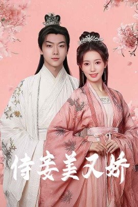 资源《侍妾美又娇》的海报