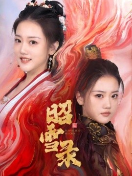 资源《昭雪录》的海报