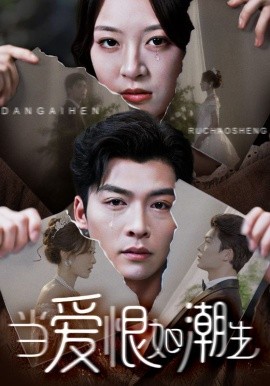 资源《当爱恨如潮生》的海报