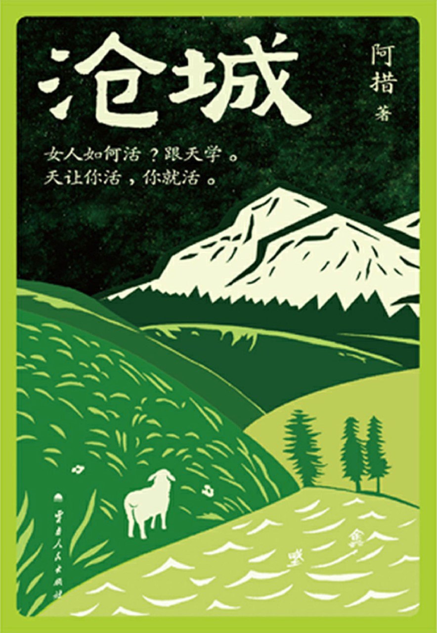 资源《《沧城》(azw3+epub+mobi+pdf)》的海报