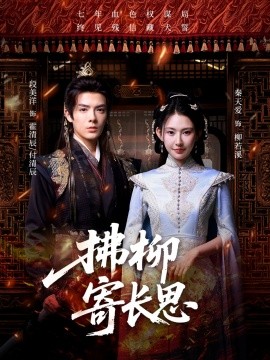 资源《拂柳寄长思》的海报