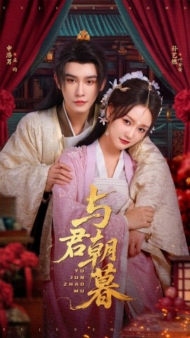 资源《与君朝暮》的海报