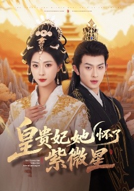 资源《皇贵妃她怀了紫薇星》的海报