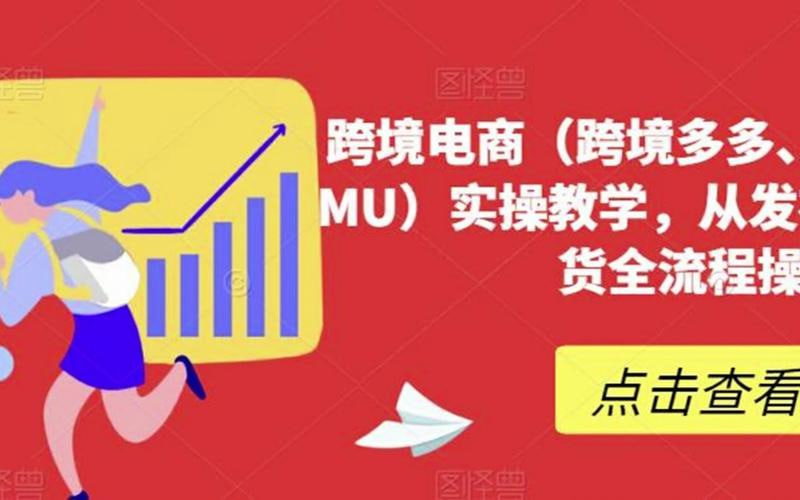 资源《跨境电商（跨境多多、海外版多多TEMU）实操教学，从发布商品到售卖发货全流程操作》的海报