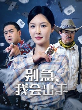 资源《别急，我会出手》的海报