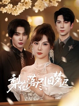 资源《梨花落尽旧梦迟》的海报