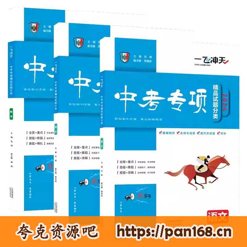 资源《《一飞冲天》中考专项试题合集》的海报