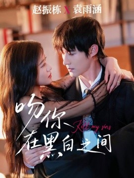 资源《吻你在黑白之间》的海报