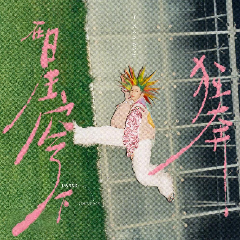 资源《王源《在星穹下狂奔·完整全碟 (MP3+FLAC分轨) 》》的海报