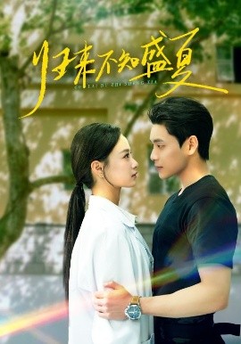 资源《归来不知盛夏》的海报