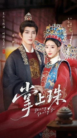 资源《掌上珠》的海报
