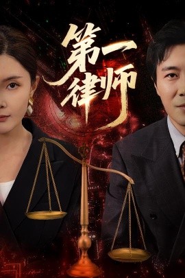 资源《第一律师》的海报