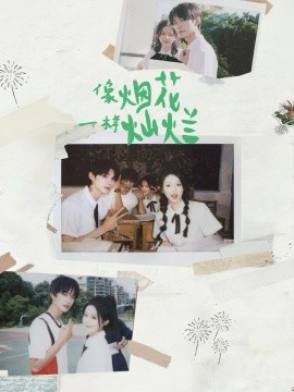 资源《像烟花一样灿烂》的海报