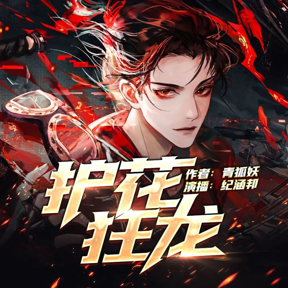 资源《有声小说《护花狂龙》著：青狐妖 播：纪涵邦 2560集完》的海报