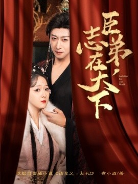 资源《臣弟，志在天下》的海报