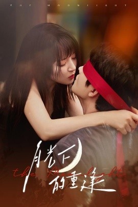 资源《月光下的重逢》的海报