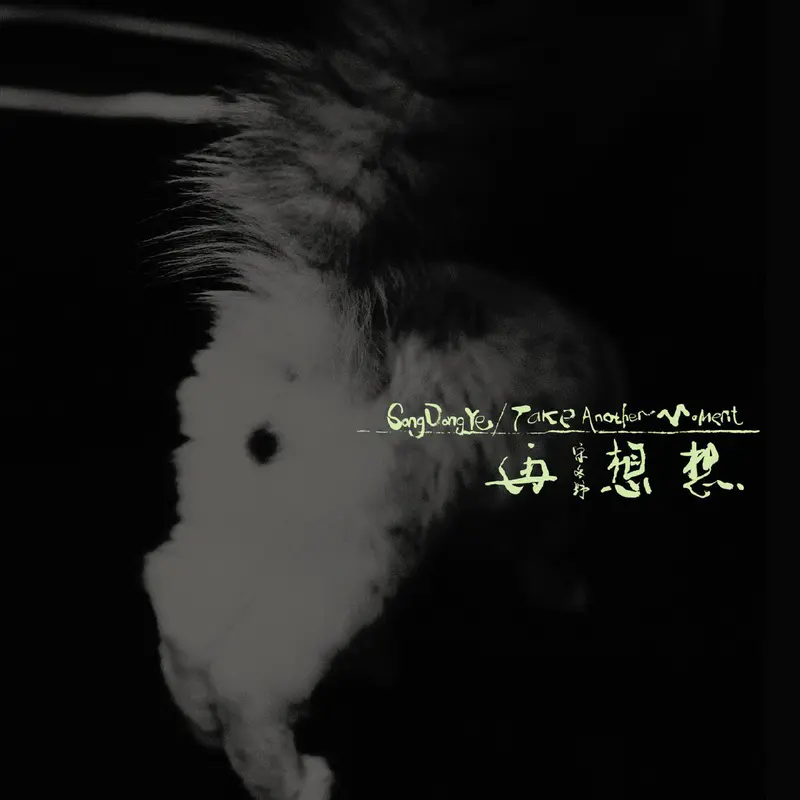 宋冬野 再想想 Take Another Moment - 2026-06-29 44.1kHz 16bit FLAC Qobuz