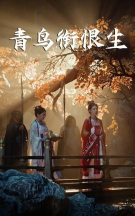 资源《青鸟衔恨生》的海报
