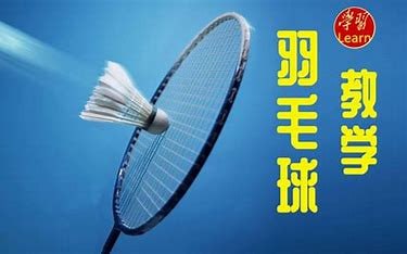 资源《羽毛球教学课程大合集【共449 GB】》的海报