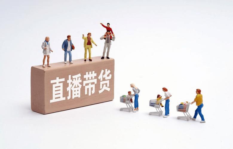 资源《视频号电商带货+直播带货玩法 视频课》的海报