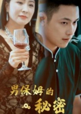资源《男保姆的秘密》的海报