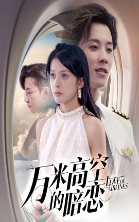 资源《万米高空的暗恋》的海报
