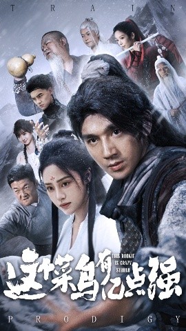 资源《这个菜鸟有亿点强》的海报