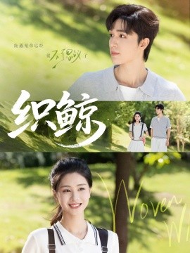 资源《织鲸》的海报