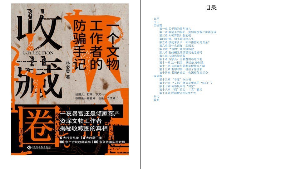 资源《《收藏圈》骇人听闻的收藏圈诈骗故事 文物工作者的防骗手记[pdf]》的海报