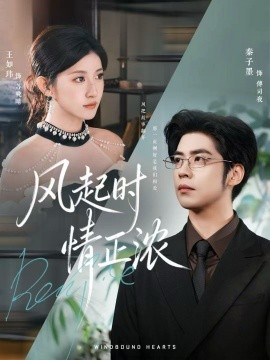 资源《风起时情正浓》的海报