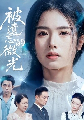 资源《被遗忘的微光》的海报