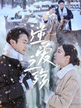 资源《逆爱之殇》的海报