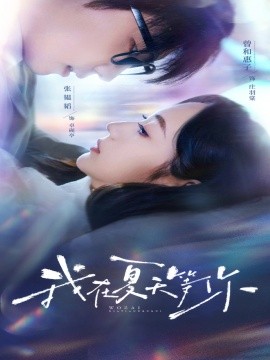资源《我在夏天等你》的海报