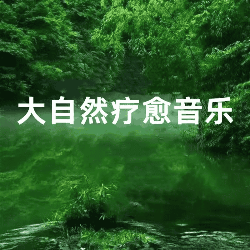 资源《大自然音乐系列合集》的海报