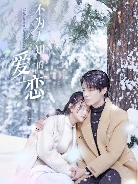 资源《不为人知的爱恋》的海报