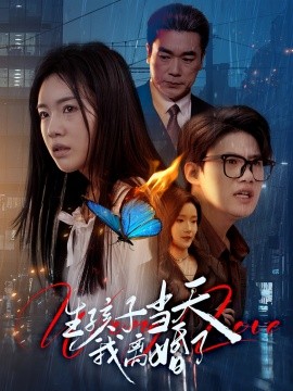 资源《生孩子当天我离婚了》的海报