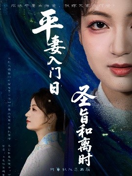 资源《平妻入门日圣旨和离时》的海报