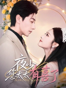 资源《夜少，您太太有喜了》的海报