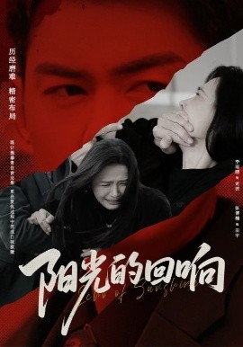 资源《阳光的回响》的海报