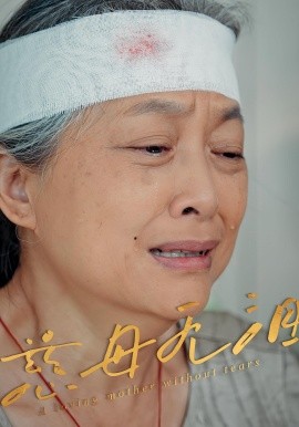 资源《慈母无泪》的海报