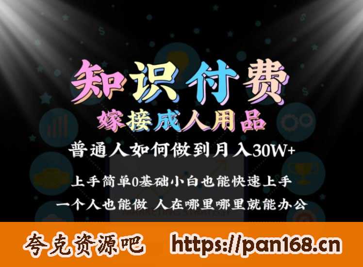 资源《2024普通人做知识付费结合成人用品如何实现单月变现30w 保姆教学1.0》的海报