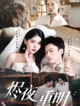 资源《烬夜重明》的海报